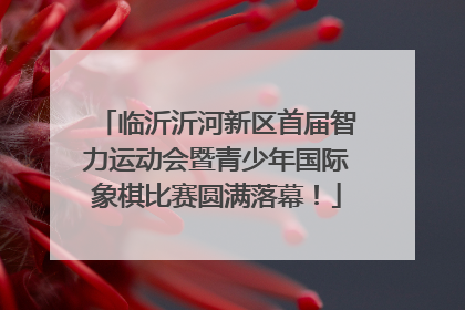 临沂沂河新区首届智力运动会暨青少年国际象棋比赛圆满落幕！