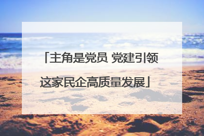 主角是党员 党建引领这家民企高质量发展