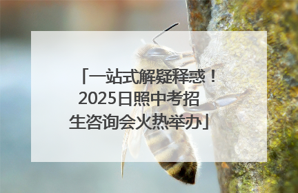一站式解疑释惑！2025日照中考招生咨询会火热举办