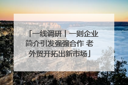 一线调研丨一则企业简介引发强强合作 老外贸开拓出新市场
