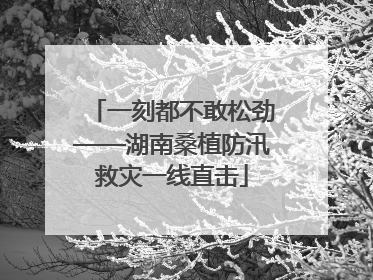 一刻都不敢松劲——湖南桑植防汛救灾一线直击