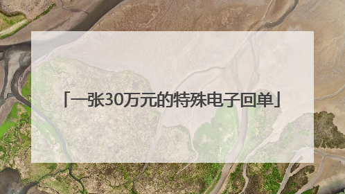 一张30万元的特殊电子回单