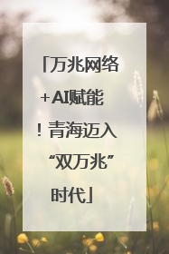 万兆网络+AI赋能！青海迈入“双万兆”时代