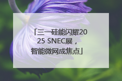 三一硅能闪耀2025 SNEC展，智能微网成焦点