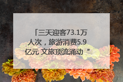 三天迎客73.1万人次，旅游消费5.9亿元 文旅顶流涌动“江宁style”