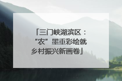 三门峡湖滨区：“农”墨重彩绘就乡村振兴新画卷
