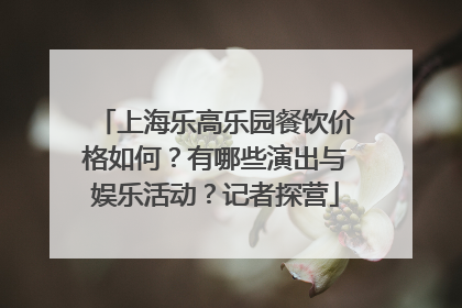上海乐高乐园餐饮价格如何？有哪些演出与娱乐活动？记者探营