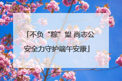 不负“粽”望 尚志公安全力守护端午安康