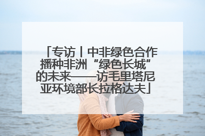 专访丨中非绿色合作播种非洲“绿色长城”的未来——访毛里塔尼亚环境部长拉格达夫