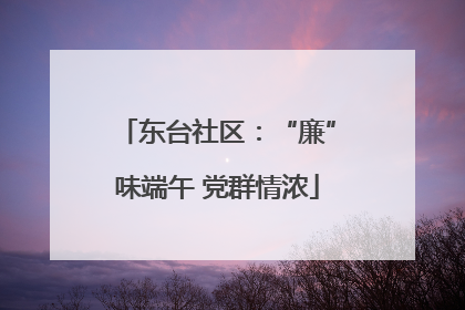 东台社区：“廉”味端午 党群情浓