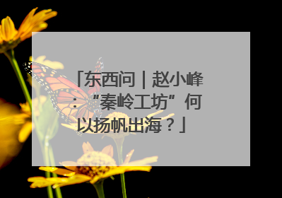 东西问｜赵小峰：“秦岭工坊”何以扬帆出海？