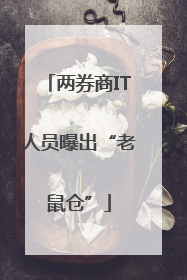两券商IT人员曝出“老鼠仓”