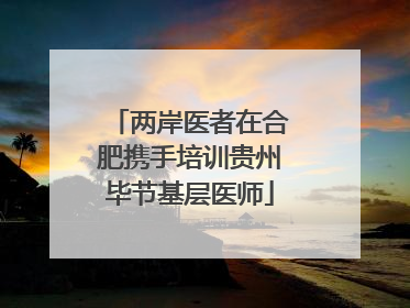 两岸医者在合肥携手培训贵州毕节基层医师