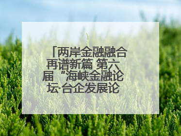 两岸金融融合再谱新篇 第六届“海峡金融论坛·台企发展论坛”在厦举办