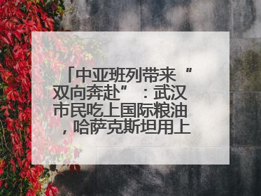 中亚班列带来“双向奔赴”：武汉市民吃上国际粮油，哈萨克斯坦用上鄂产光电屏