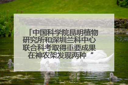 中国科学院昆明植物研究所和深圳兰科中心联合科考取得重要成果 在神农架发现两种“国保”级兰花