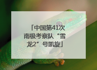 中国第41次南极考察队“雪龙2”号凯旋