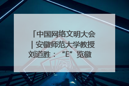 中国网络文明大会｜安徽师范大学教授刘道胜：“E”览徽风，构筑中华民族共有精神家园