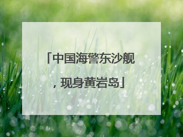 中国海警东沙舰，现身黄岩岛