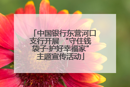 中国银行东营河口支行开展 “守住钱袋子·护好幸福家”主题宣传活动