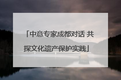 中意专家成都对话 共探文化遗产保护实践