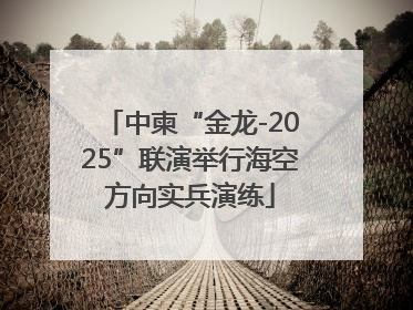 中柬“金龙-2025”联演举行海空方向实兵演练