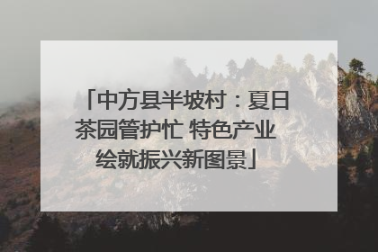 中方县半坡村：夏日茶园管护忙 特色产业绘就振兴新图景