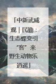 中新武威观｜民勤：生态蝶变引“客”来 野生动物乐逍遥