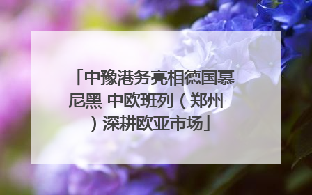 中豫港务亮相德国慕尼黑 中欧班列（郑州）深耕欧亚市场