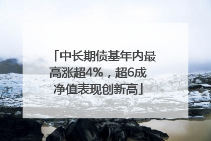中长期债基年内最高涨超4%，超6成净值表现创新高