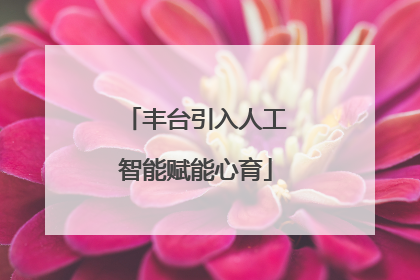 丰台引入人工智能赋能心育