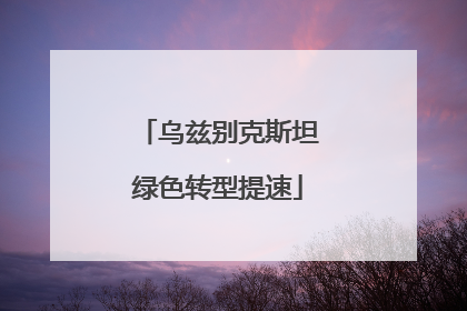 乌兹别克斯坦绿色转型提速