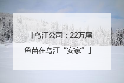 乌江公司：22万尾鱼苗在乌江“安家”