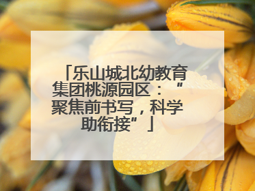 乐山城北幼教育集团桃源园区：“聚焦前书写，科学助衔接”