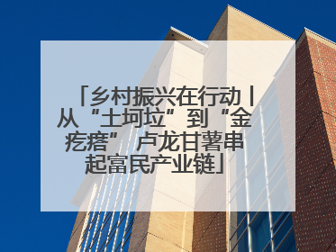 乡村振兴在行动丨从“土坷垃”到“金疙瘩” 卢龙甘薯串起富民产业链