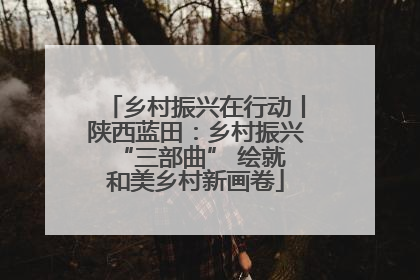 乡村振兴在行动丨陕西蓝田：乡村振兴 “三部曲” 绘就和美乡村新画卷