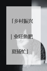 乡村振兴｜业旺鱼肥夏捕忙