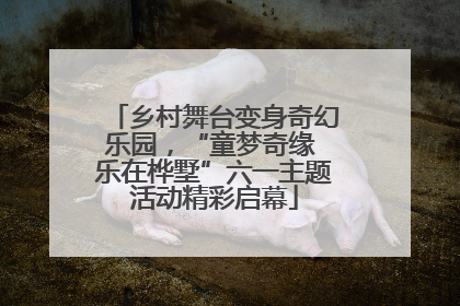 乡村舞台变身奇幻乐园，“童梦奇缘 乐在桦墅”六一主题活动精彩启幕