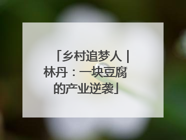 乡村追梦人｜林丹：一块豆腐的产业逆袭