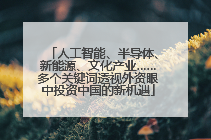 人工智能、半导体、新能源、文化产业……多个关键词透视外资眼中投资中国的新机遇
