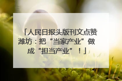 人民日报头版刊文点赞潍坊：把“当家产业”做成“担当产业”！