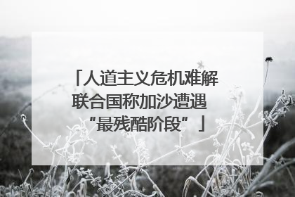 人道主义危机难解 联合国称加沙遭遇“最残酷阶段”