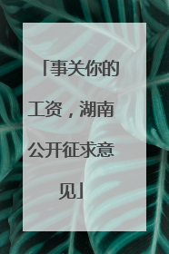 事关你的工资，湖南公开征求意见