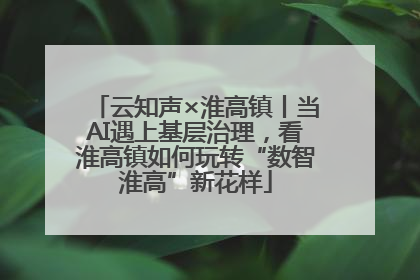 云知声×淮高镇丨当AI遇上基层治理，看淮高镇如何玩转“数智淮高”新花样