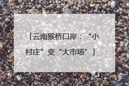 云南猴桥口岸：“小村庄”变“大市场”