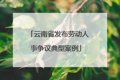 云南省发布劳动人事争议典型案例