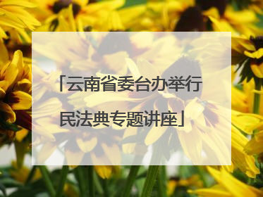 云南省委台办举行民法典专题讲座