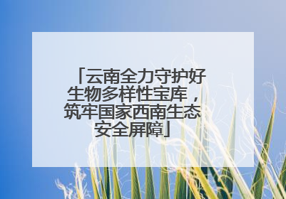 云南全力守护好生物多样性宝库，筑牢国家西南生态安全屏障