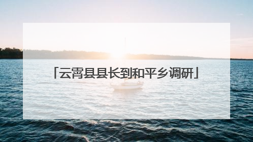 云霄县县长到和平乡调研