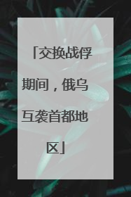 交换战俘期间，俄乌互袭首都地区